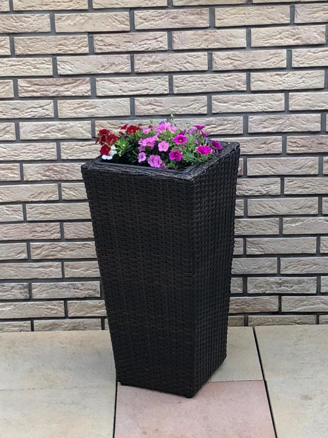 Ferienhaus Treis Neef Dış mekan fotoğraf